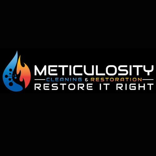 Meticulosity Cleaning